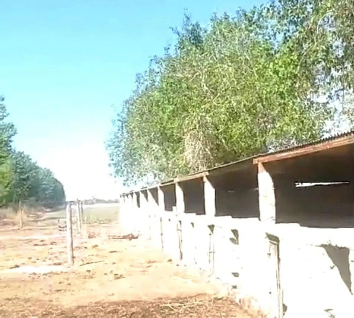 VENTA DE FINCA 8 HS EN LAS HERAS, MENDOZA 4