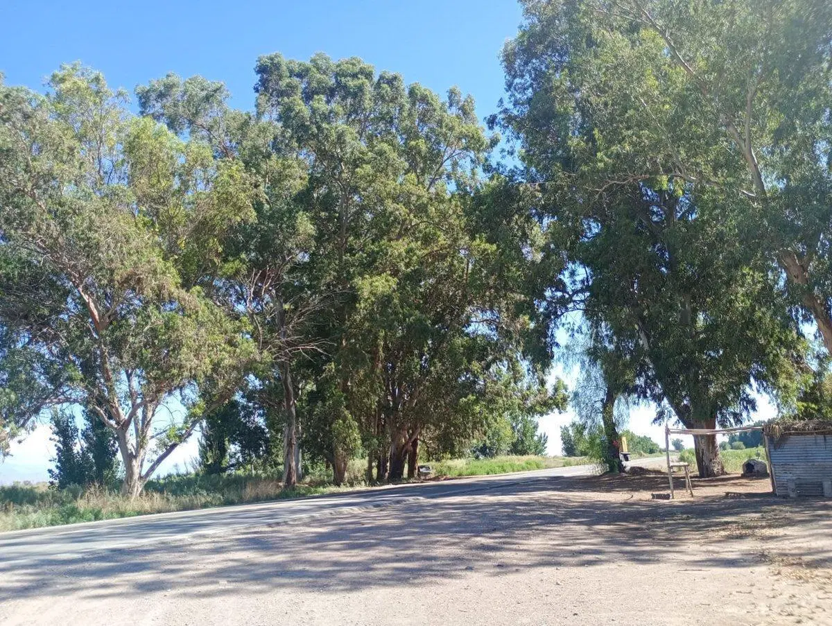 VENTA DE LOTE SOBRE RUTA NACIONAL 40, LAVALLE 2