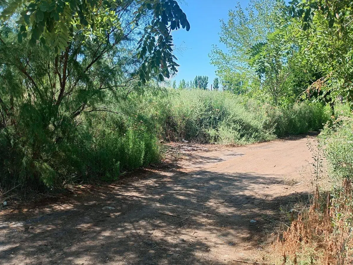 VENTA DE LOTE SOBRE RUTA NACIONAL 40, LAVALLE 3