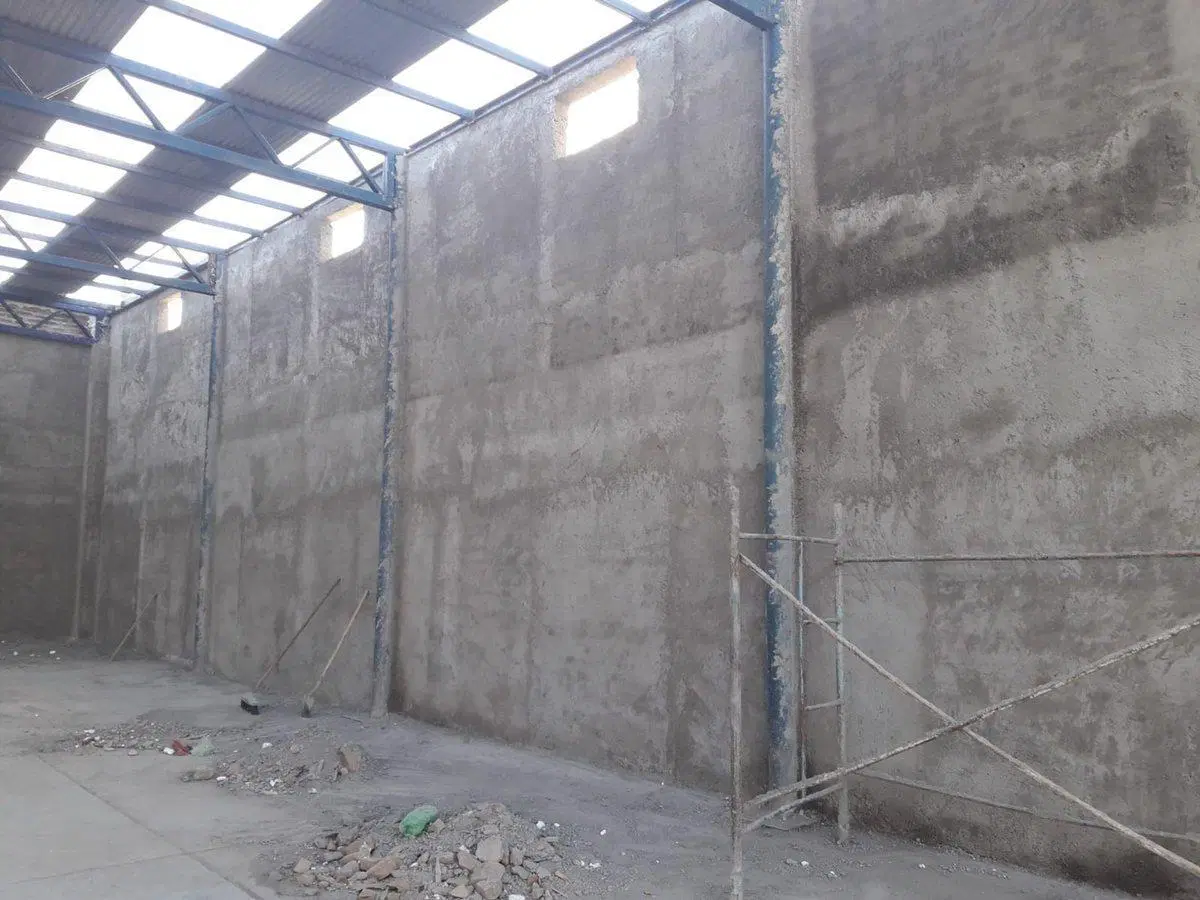 GALPÓN+DEPTO ,ELPIDIO GONZÁLEZ, RODEO DE LA CRUZ 2