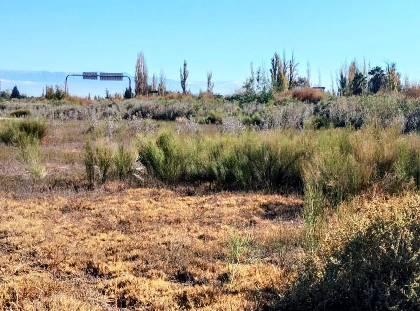 LOTE 1000M2 SOBRE CALLE SANTA CLARA, SAN ROQUE 2