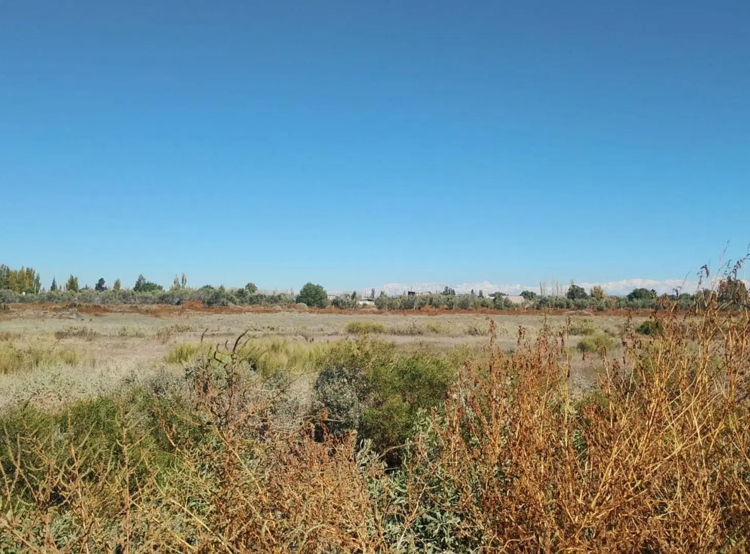 LOTE 1000M2 SOBRE CALLE SANTA CLARA, SAN ROQUE 4