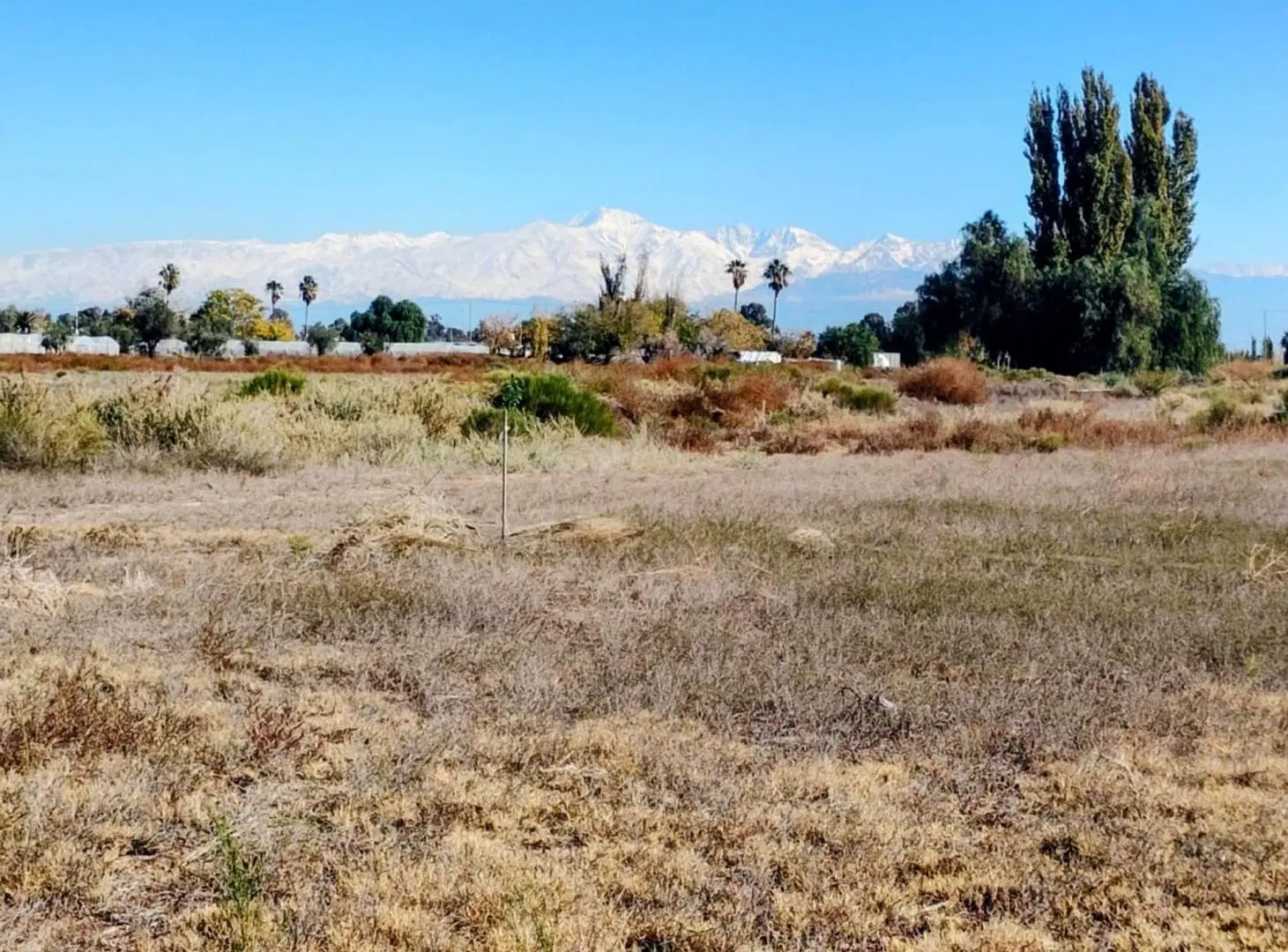 LOTE 1000M2 SOBRE CALLE SANTA CLARA, SAN ROQUE 5