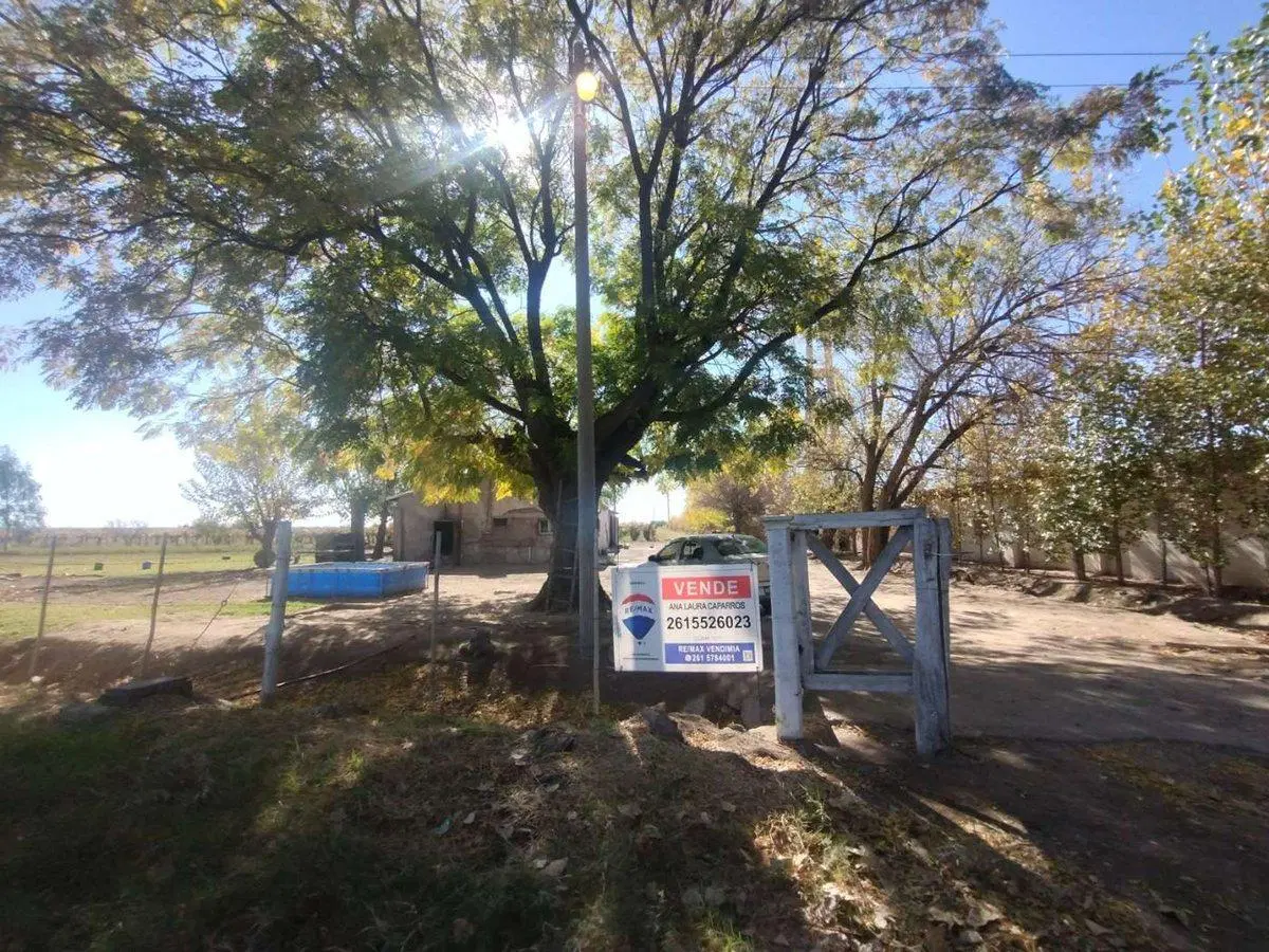 Venta de Finca en La Dormida, Santa Rosa, Mendoza 2