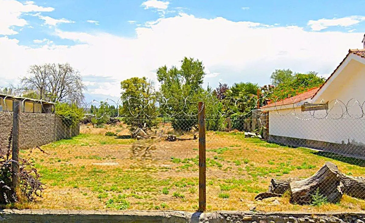 OPORTUNIDAD TERRENO PARA DESARROLLO, TUPUNGATO 5