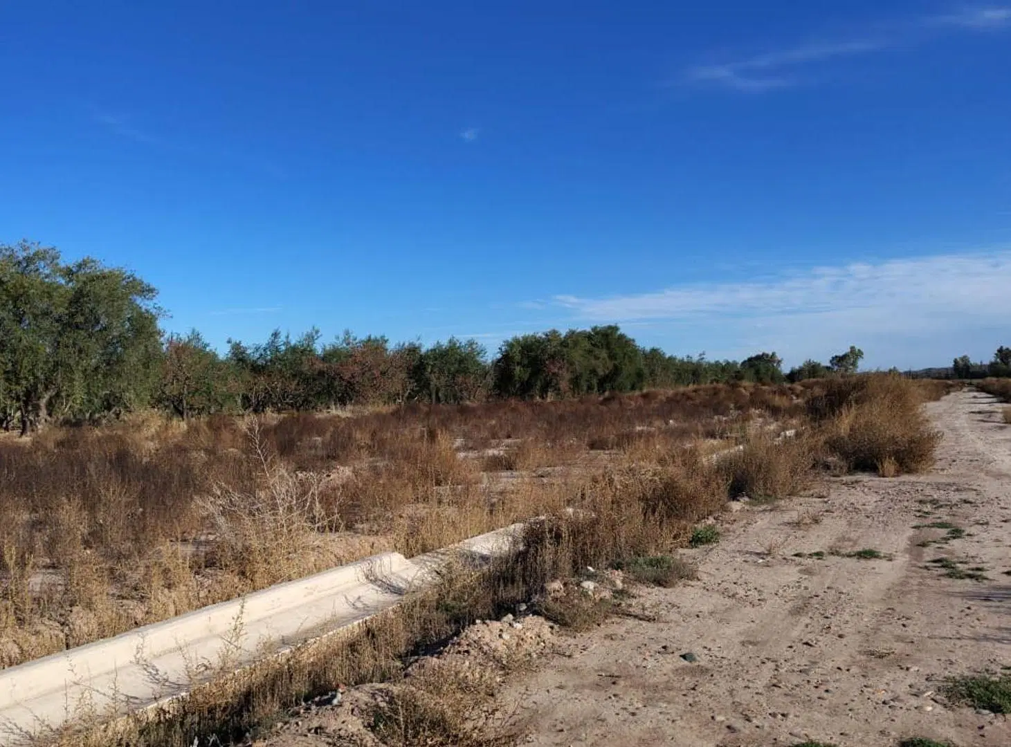 VENTA LOTE B° PRIVADO TERRUÑO MALBEC 350 m2 4