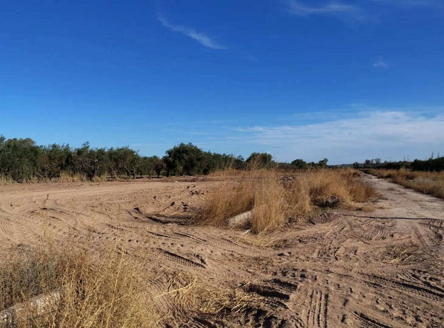 VENTA LOTE B° PRIVADO TERRUÑO MALBEC 350 m2 3