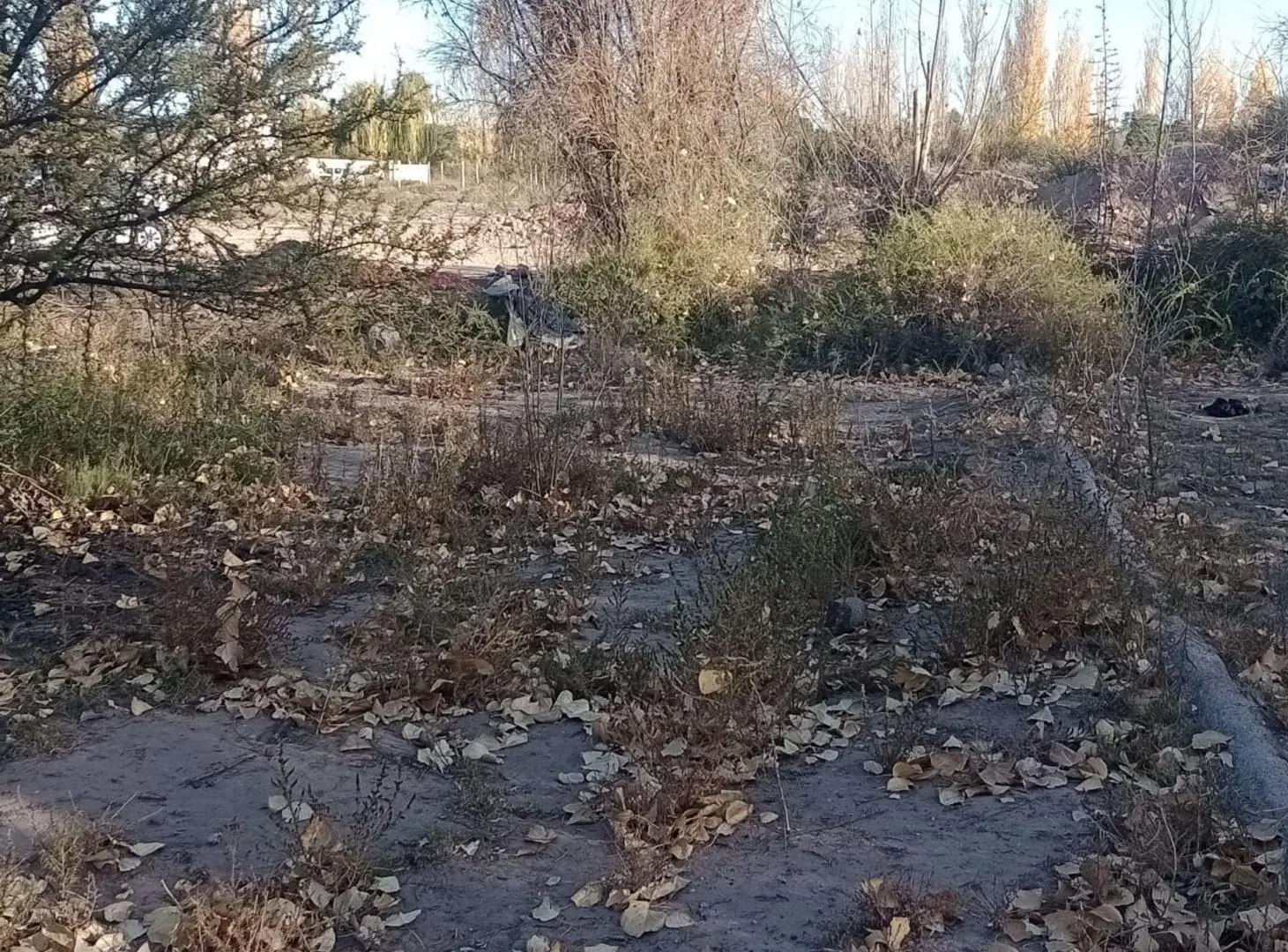 TERRENO EN VENTA LULUNTA 4