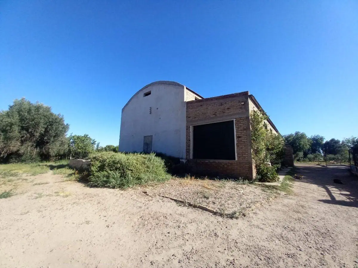 Bodega de 600 mil litros en San Martín 3