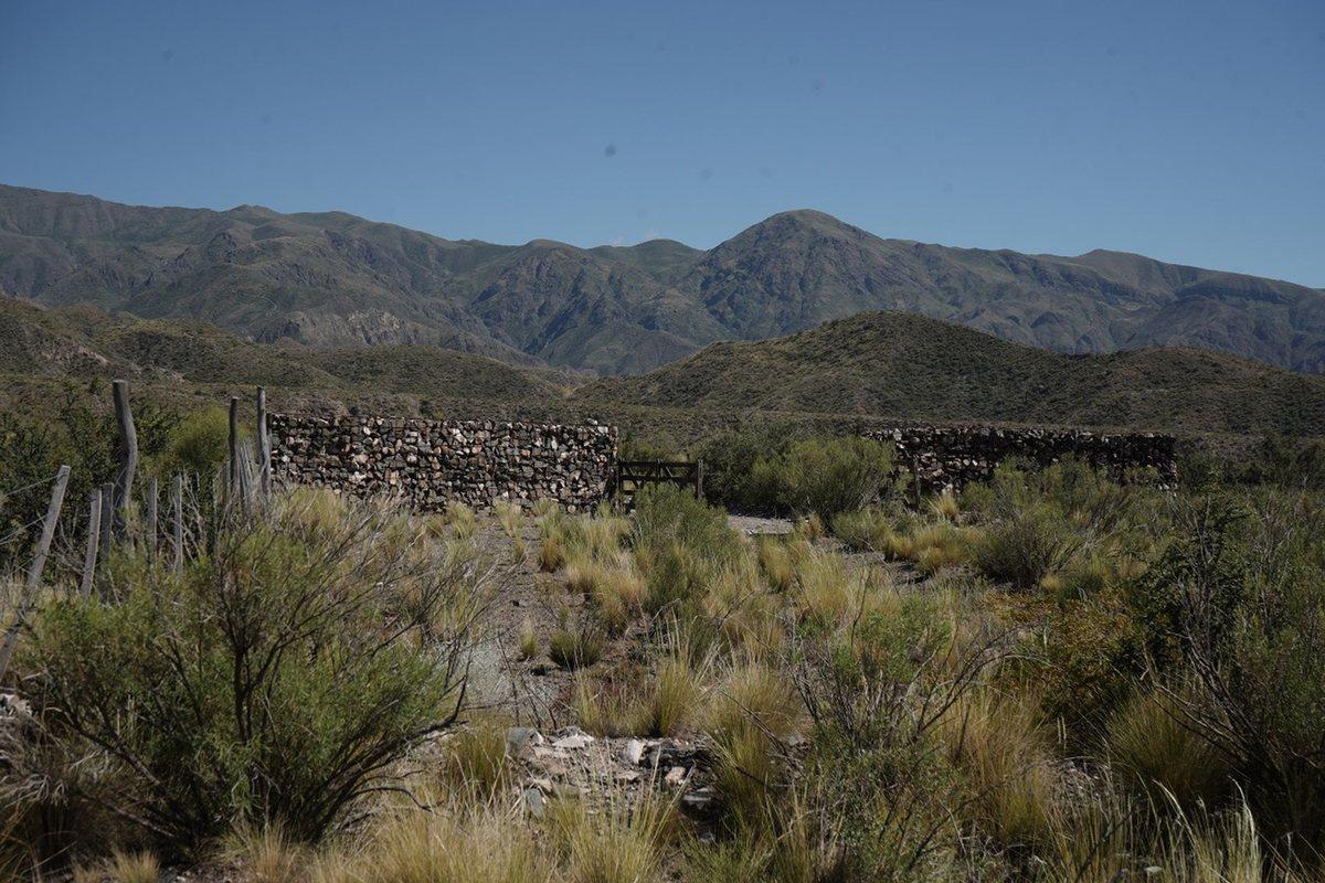 Foto de Estratégico Campo en el Piedemonte Mendocino, imagen 4