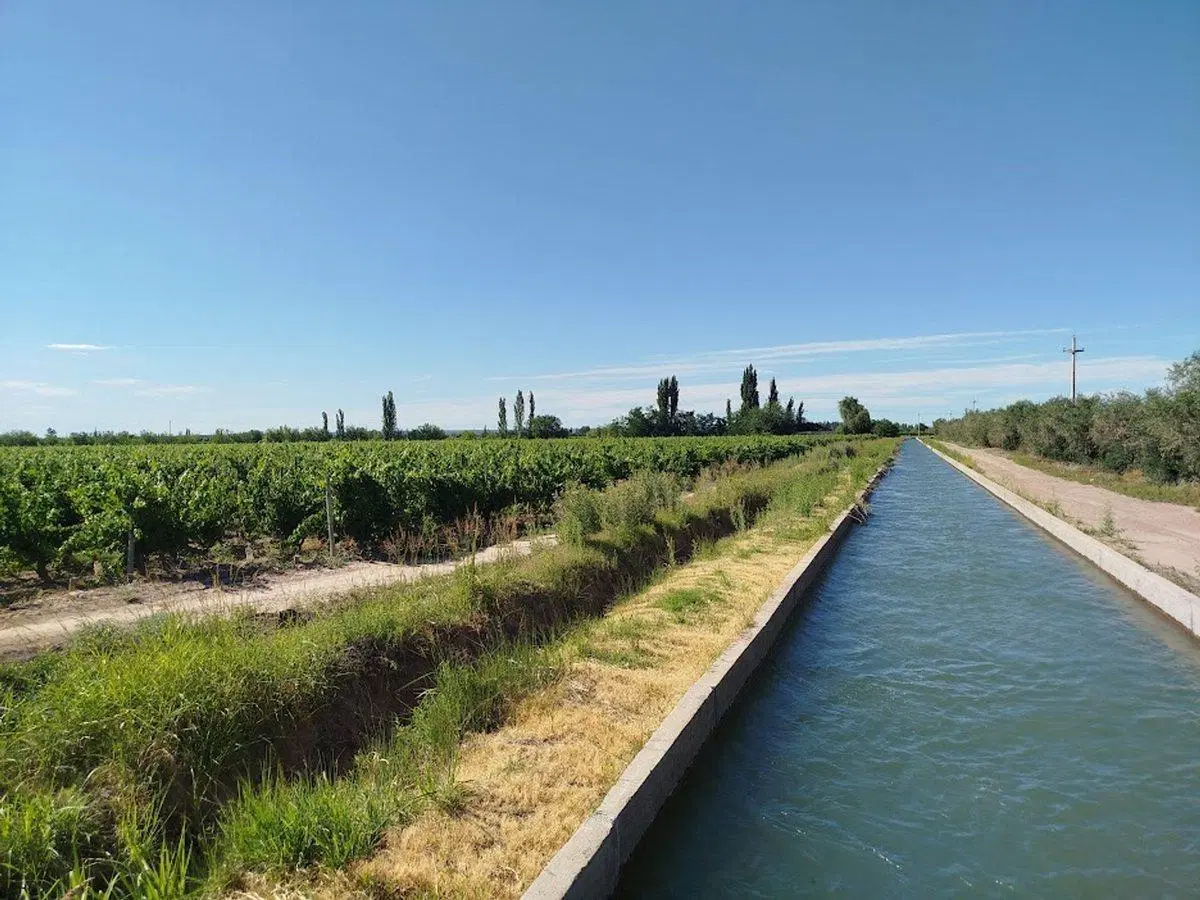 Venta Finca/Chacra con Gran Bodega Medrano Junín 2