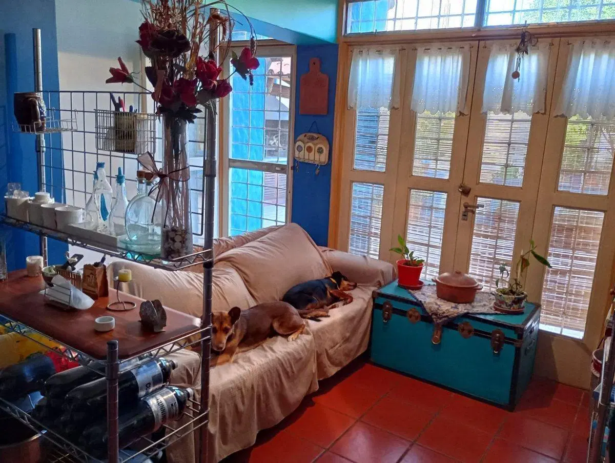 CASA 4 DORMITORIOS, CON PISCINA, CIUDAD DE MENDOZA 2