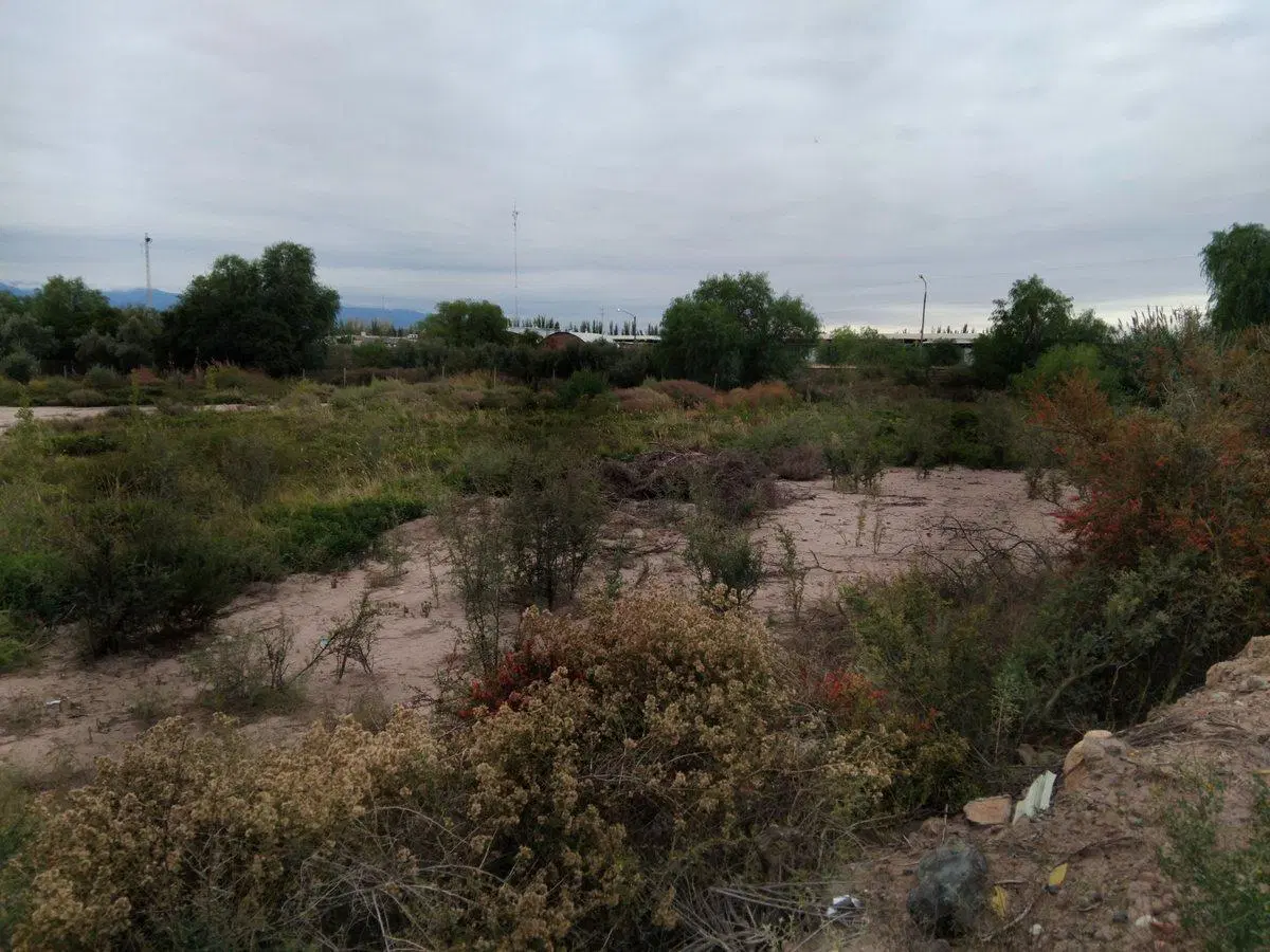 VENTA DE GRAN TERRENO INDUSTRIAL EN CALLE TERRADA 2