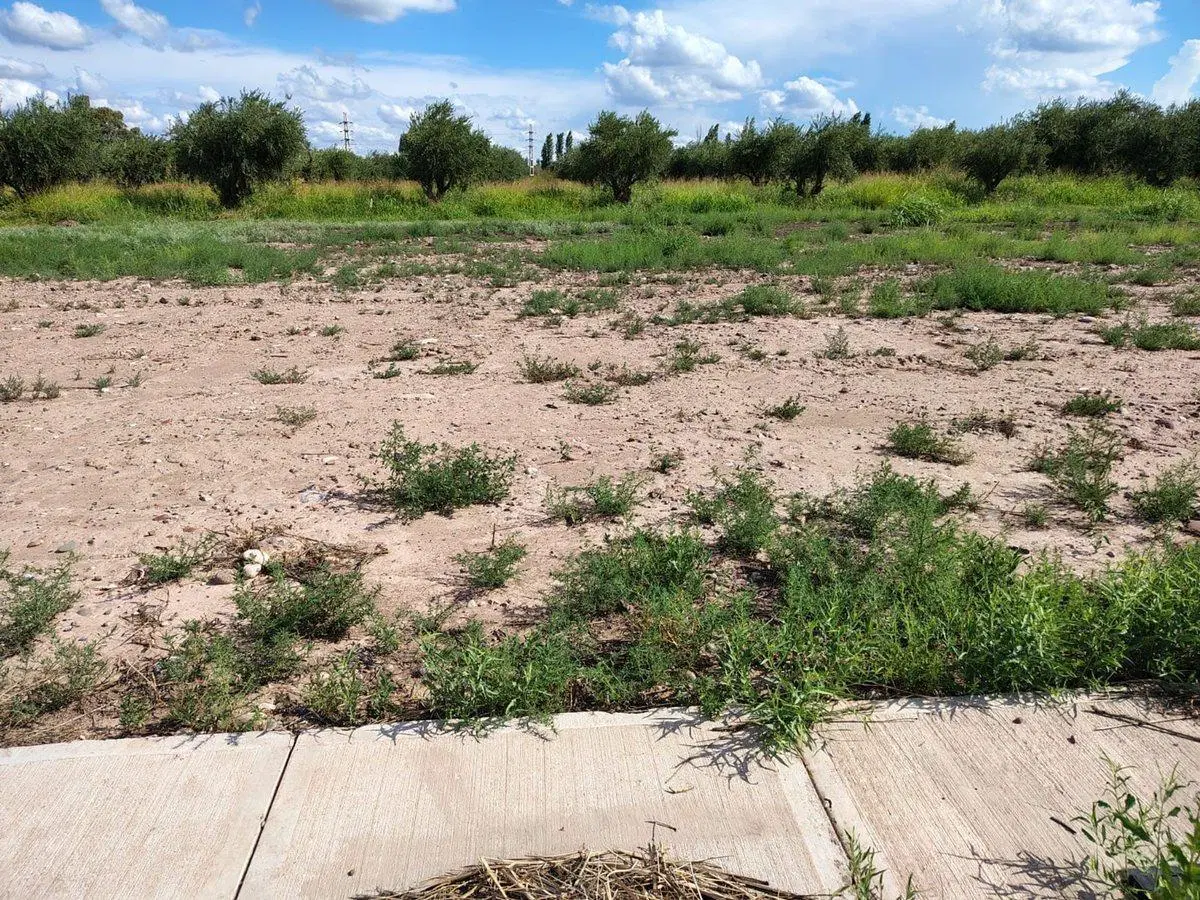 LOTE EN VENTA, NATANIA 73 5