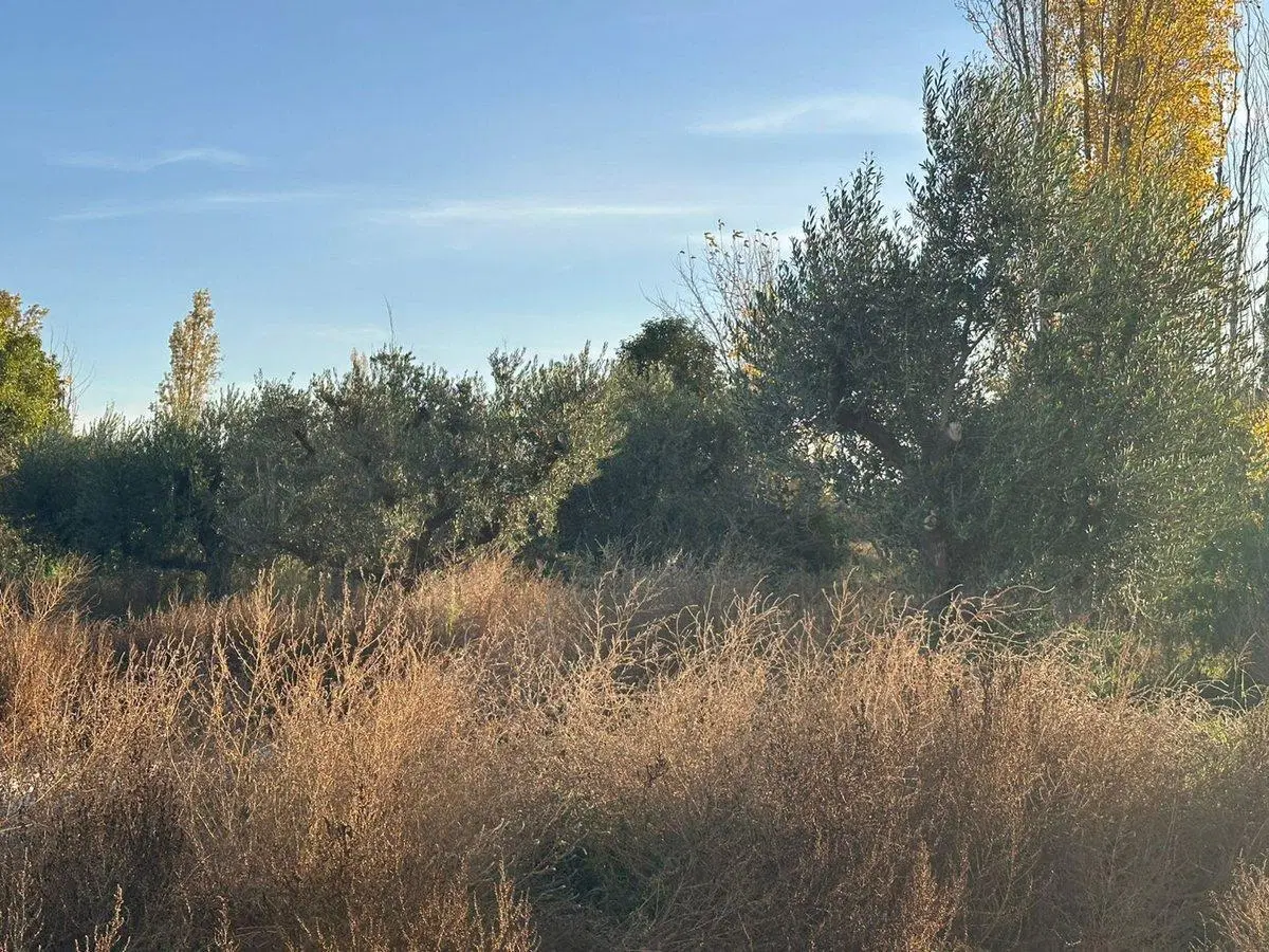 Terreno en venta 3
