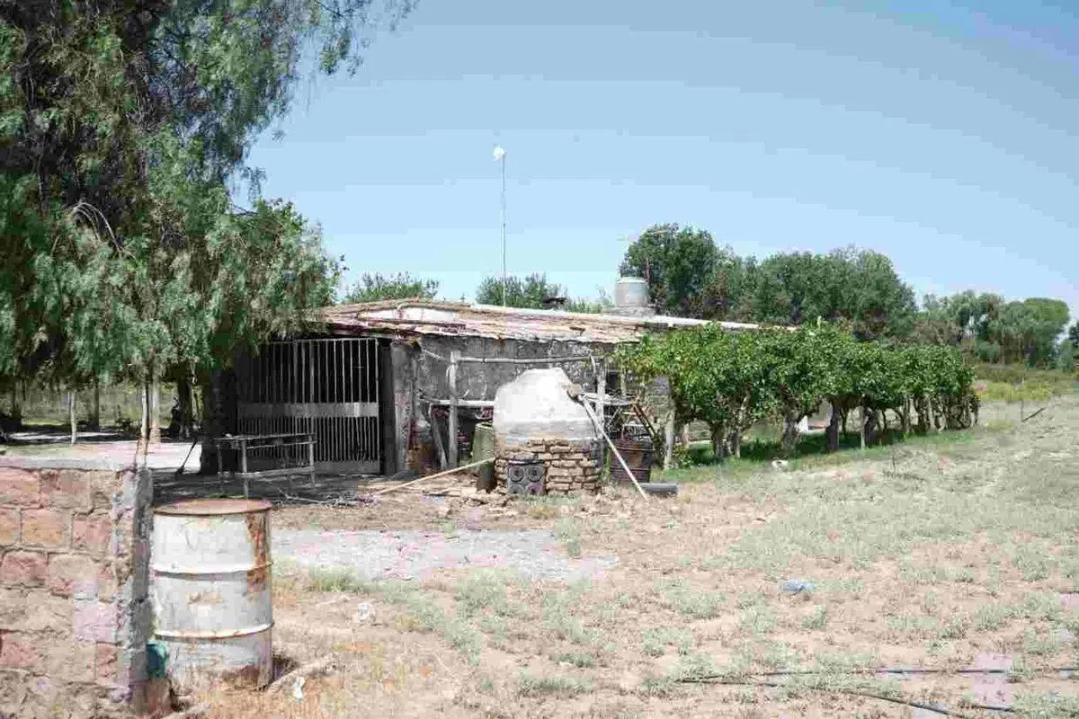 VENTA DE CAMPO, SANTA ROSA, LAS CATITAS MENDOZA 2