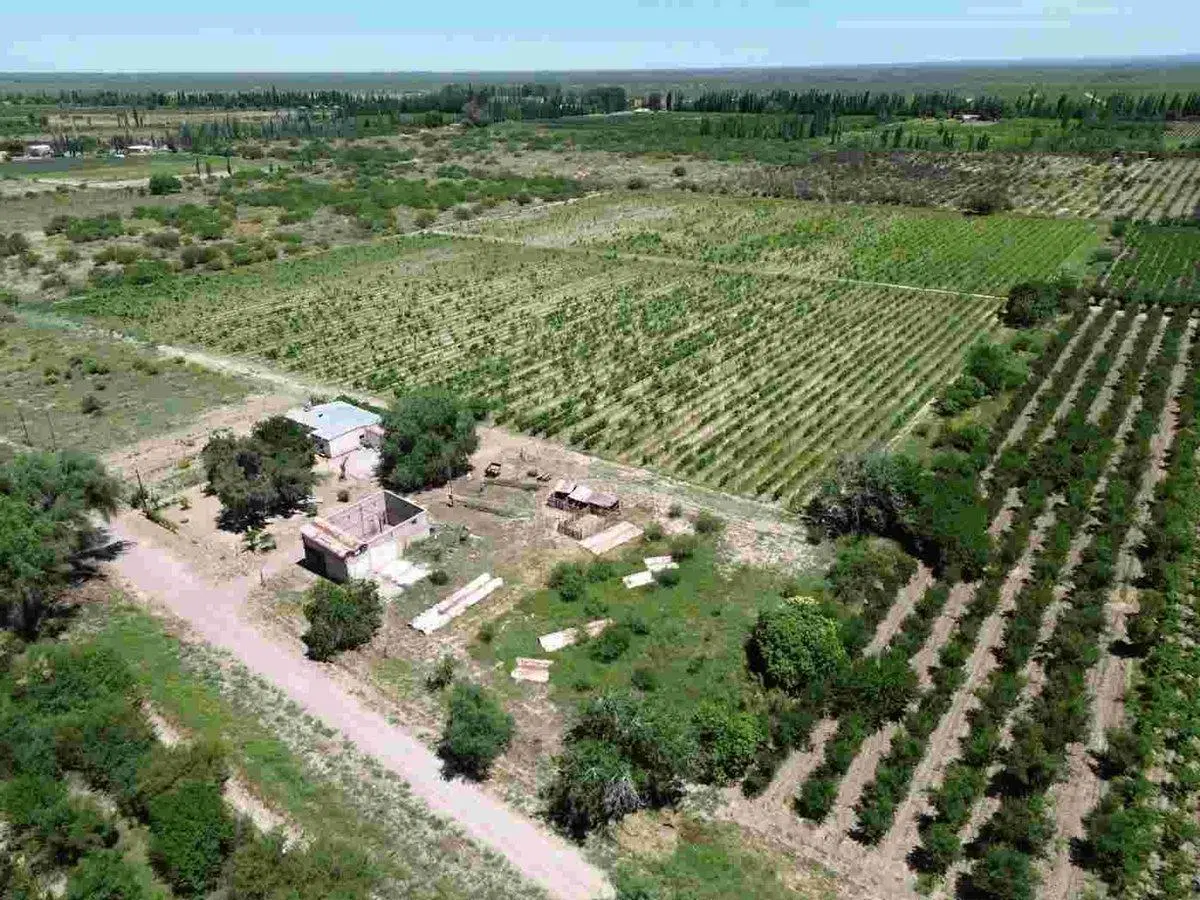 VENTA DE CAMPO, SANTA ROSA, LAS CATITAS MENDOZA 5
