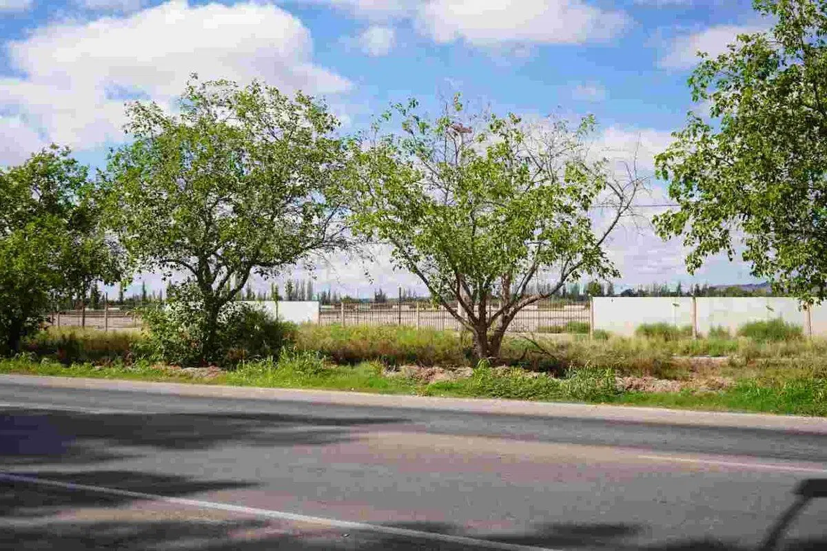 TERRENO EN VENTA, 4.496 m2 RUTA 60, MAIPÚ 4