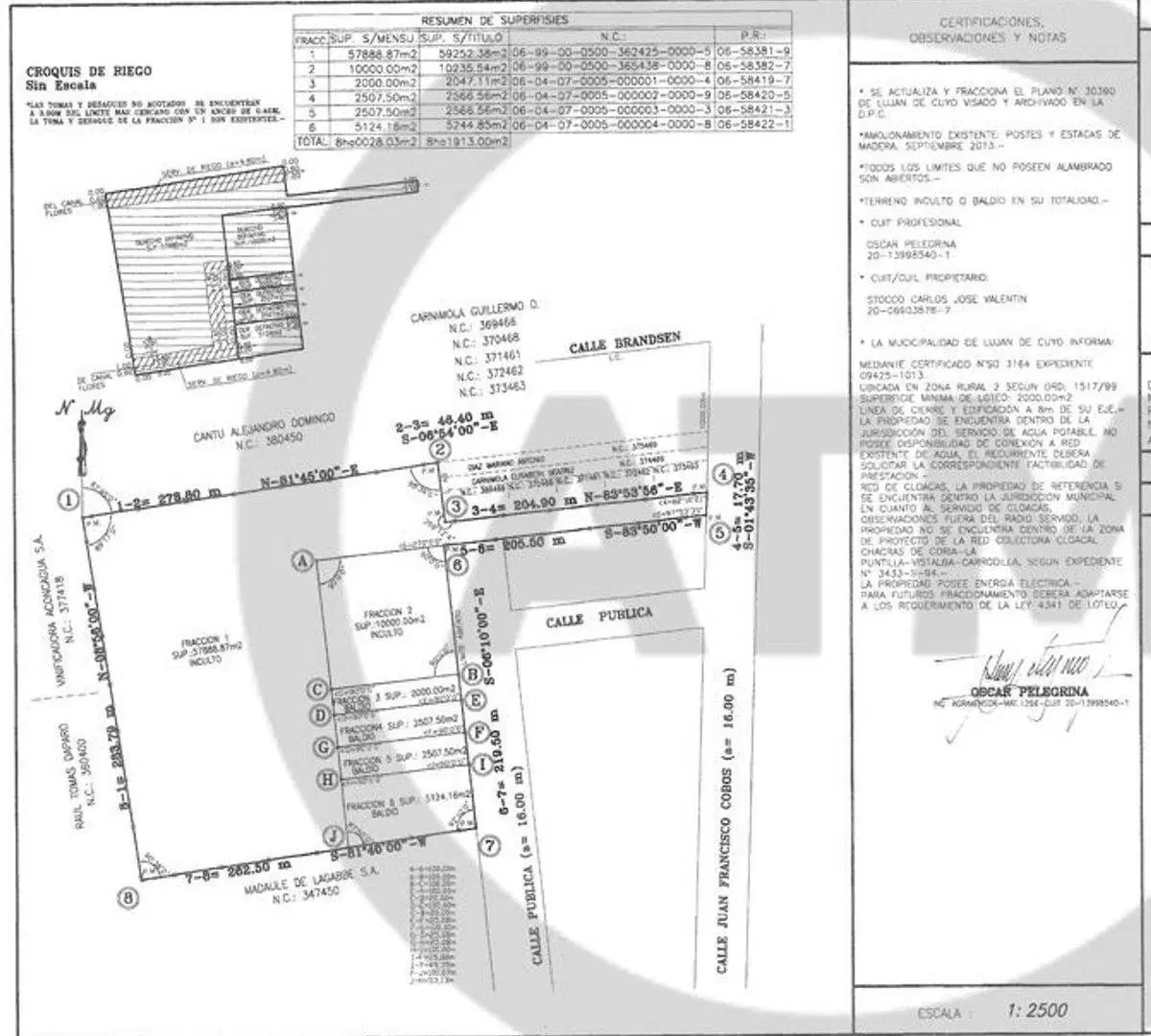Plano 1