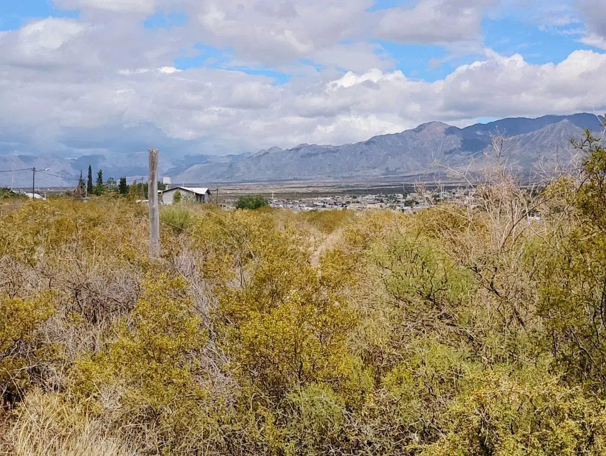 VENTA TERRENO VERTIENTE DE PEDEMONTE 5