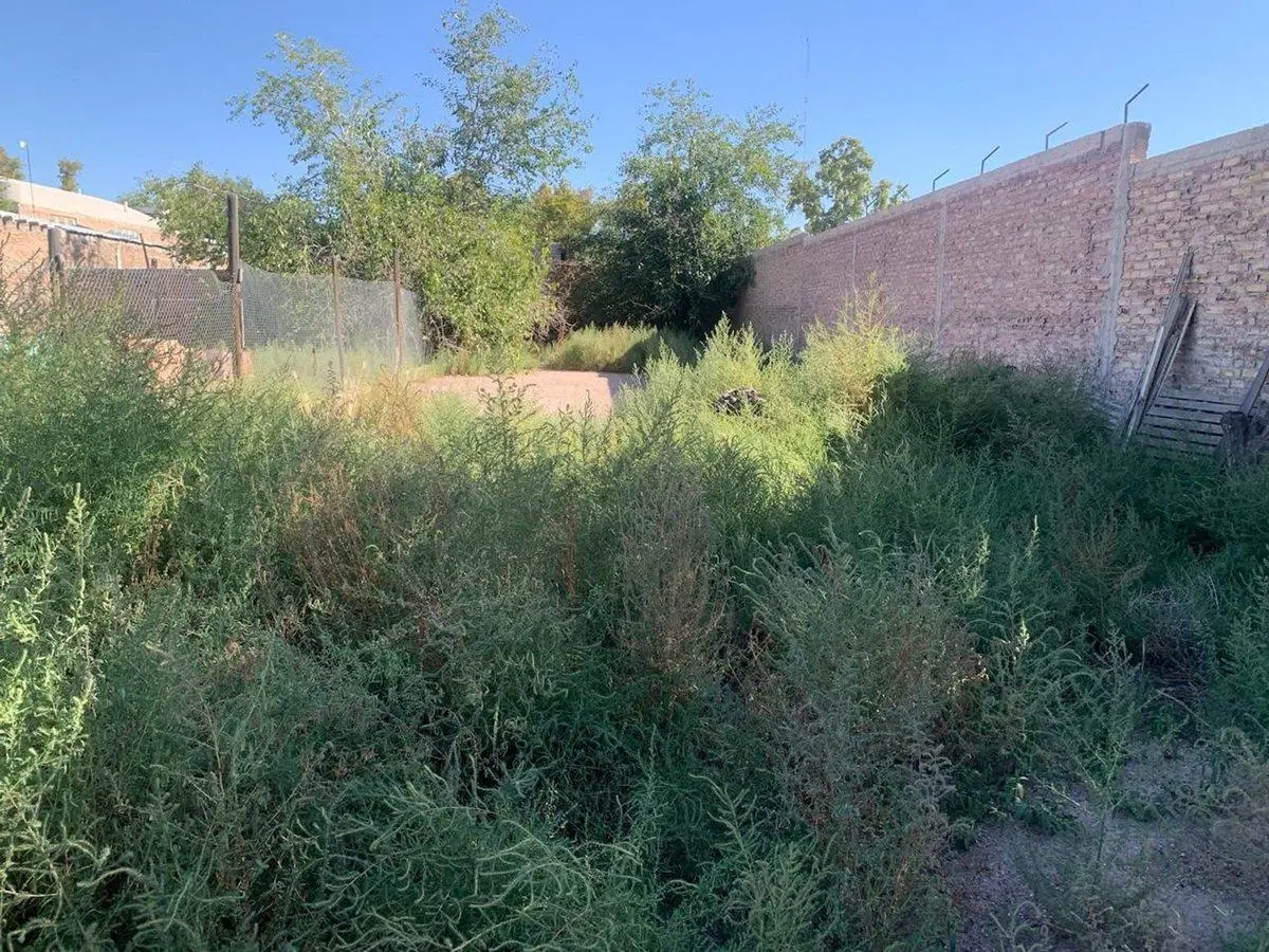 SE VENDE PROPIEDAD PARA DESARROLLO O RECICLAR 5