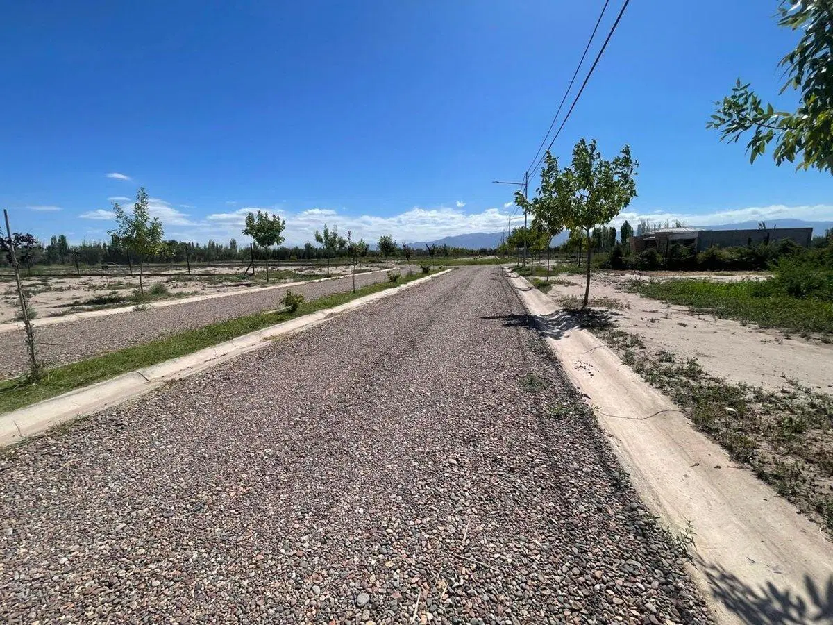 LOTE CON PISCINA, BARRIO ATARDECERES DE VIEYTES 3