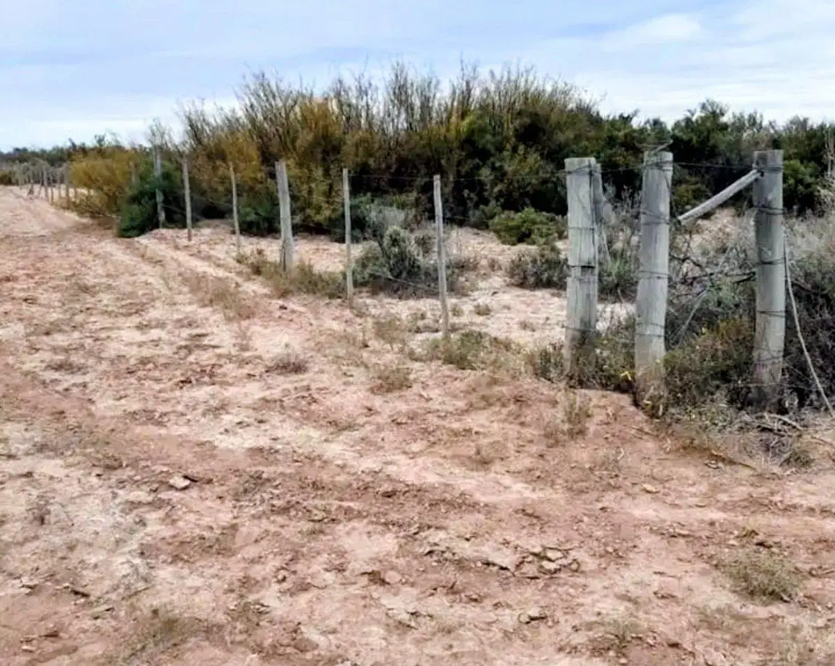 Remax Vende Campo 4
