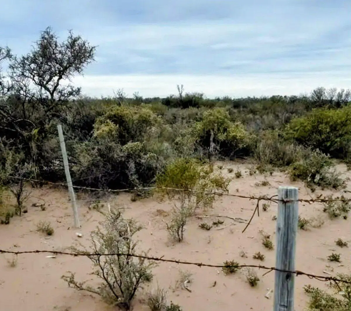 Remax Vende Campo 3