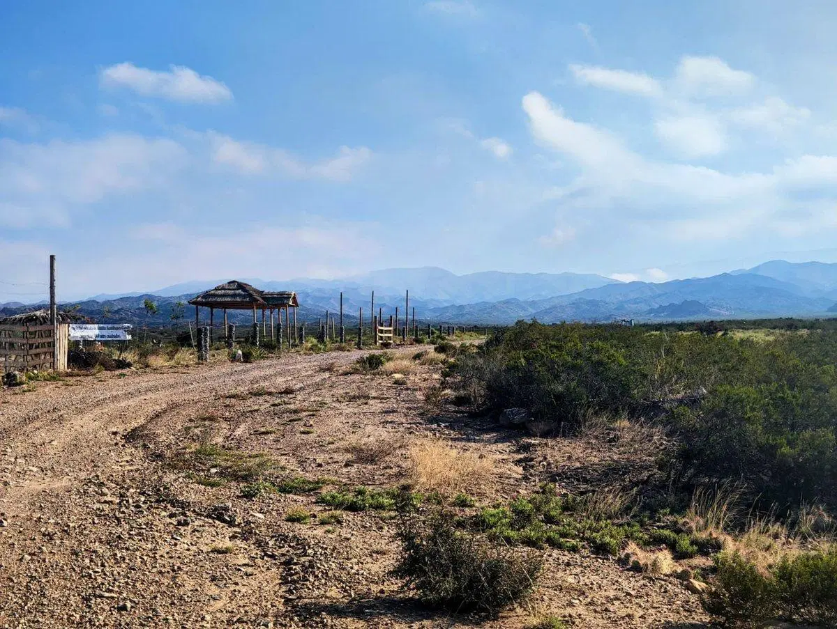 VENTA LOTE EN POTRERILLOS LUJAN DE CUYO MENDOZA 3