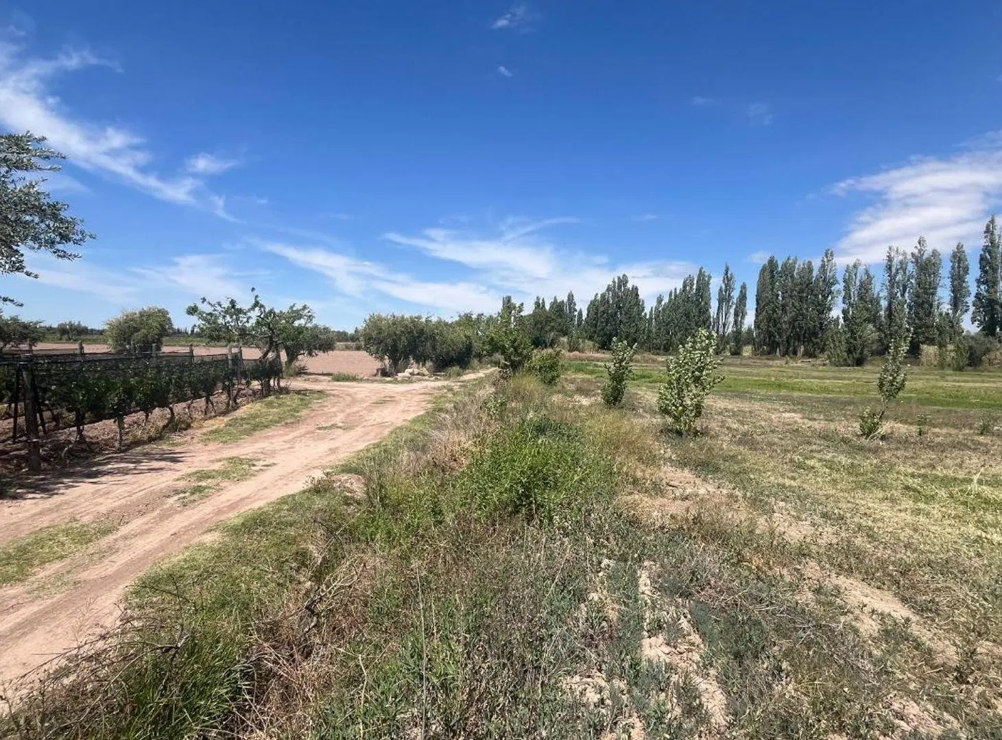 VENTA TERRENO INTERNO EN PERDRIEL 7.000m2 3
