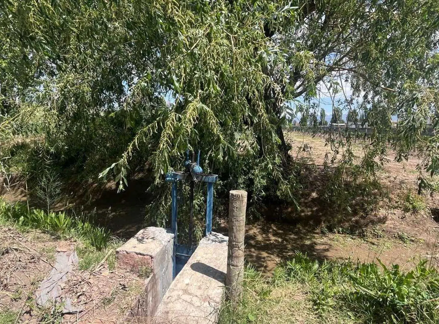 VENTA TERRENO INTERNO EN PERDRIEL 7.000m2 4
