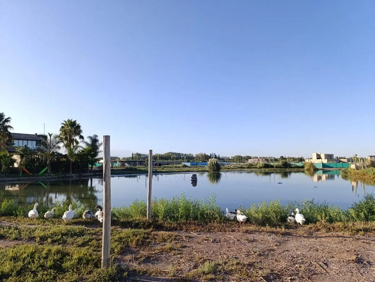 VENTA DE LOTE  NAUTILUS COUNTRY, GUAYMALLÉN 5