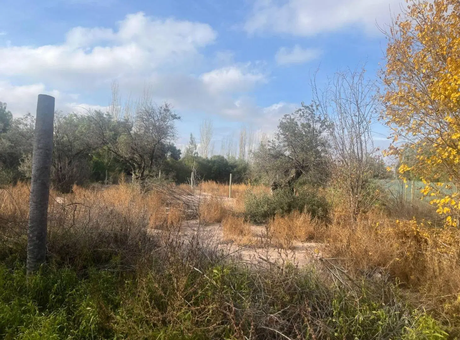 VENTA TERRENO MAIPU COQUIMBITO 5
