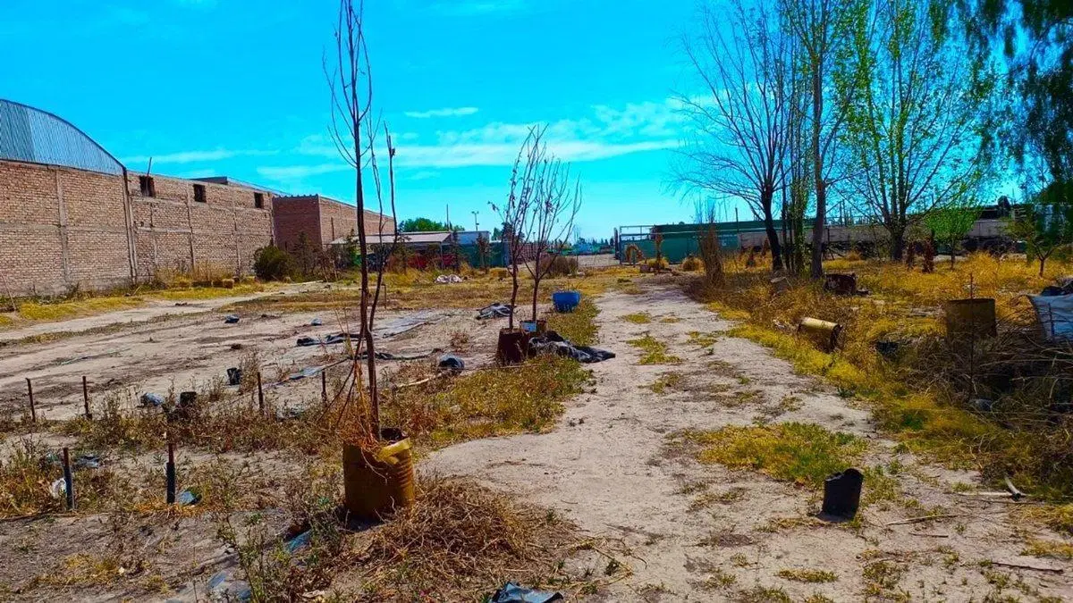 REMAX VENDE INMEJORABLE TERRENO EN LUJAN DE CUYO 5