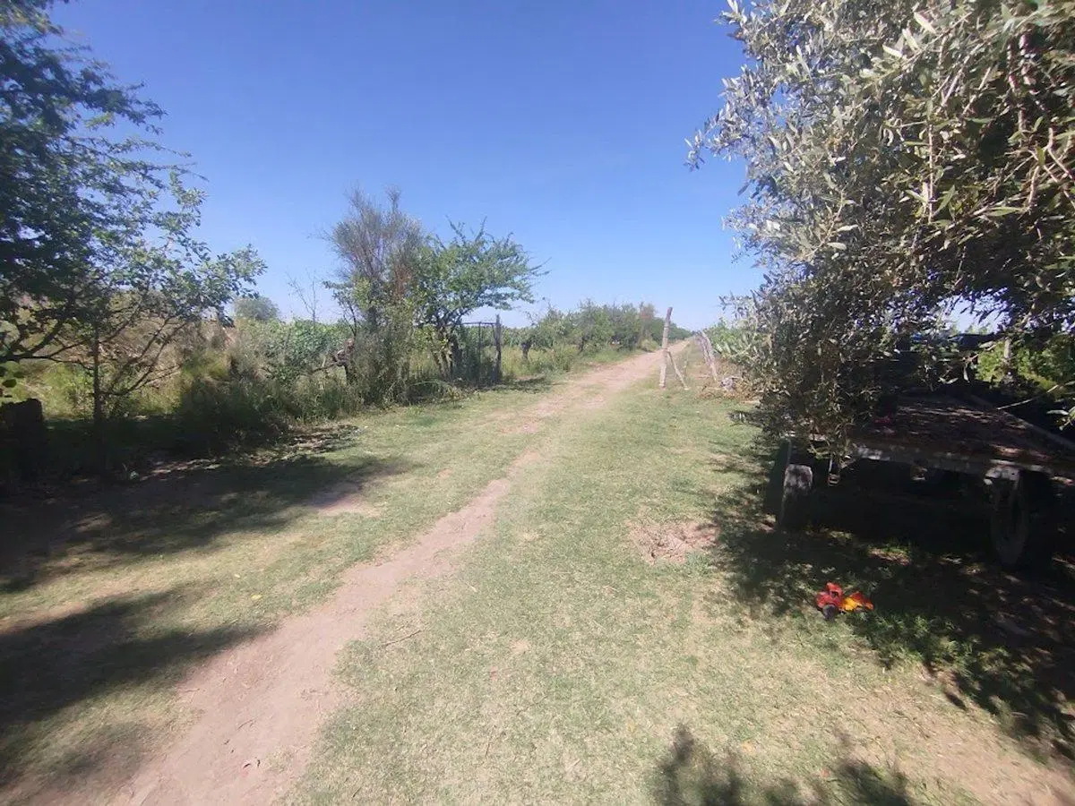 Venta Finca Vitícola en Chachingo 13 has 2