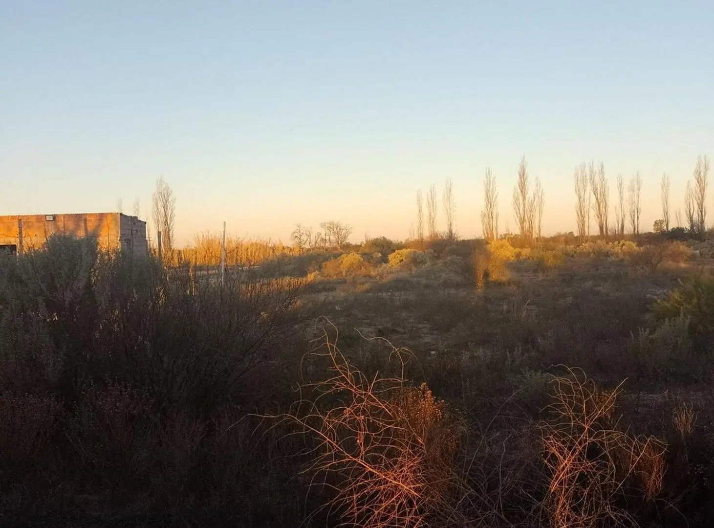 LOTES 2000M2 EN VILLA ANTIGUA, LA PAZ 2