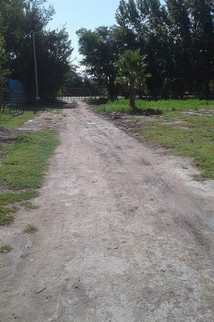 Foto de LOTE 5000m CALLE MIRALLES 1KM DE S. DEL CASTILLO,, imagen 3