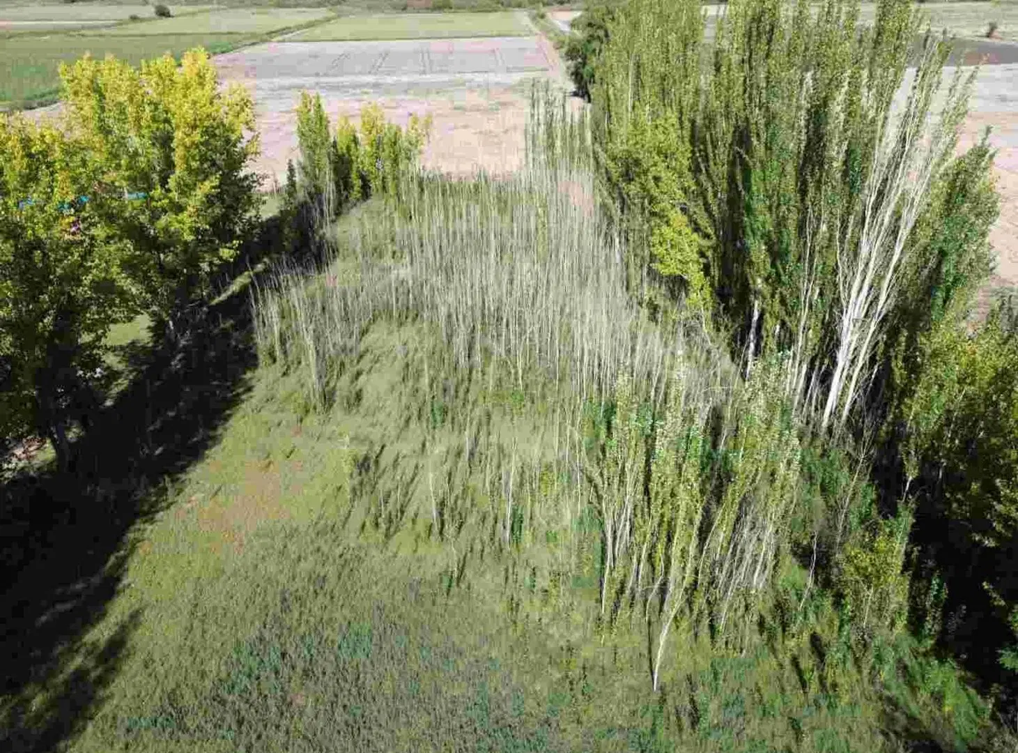 LOTE CARRIZAL SOBRE RUTA 16 2