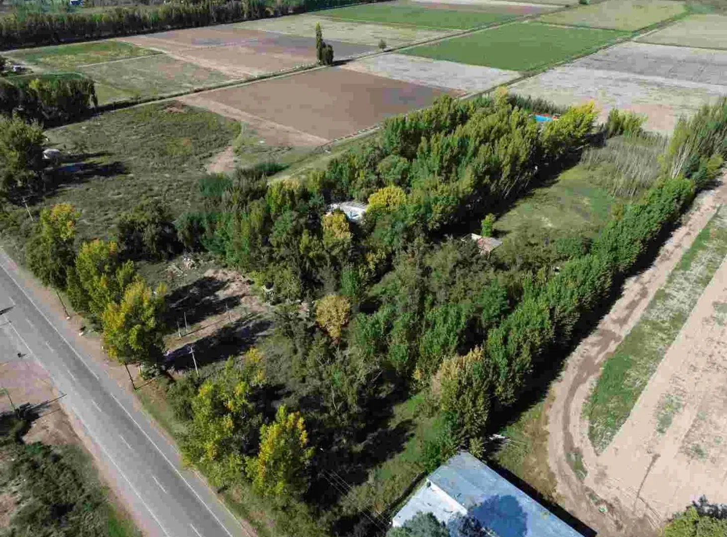LOTE CARRIZAL SOBRE RUTA 16 4
