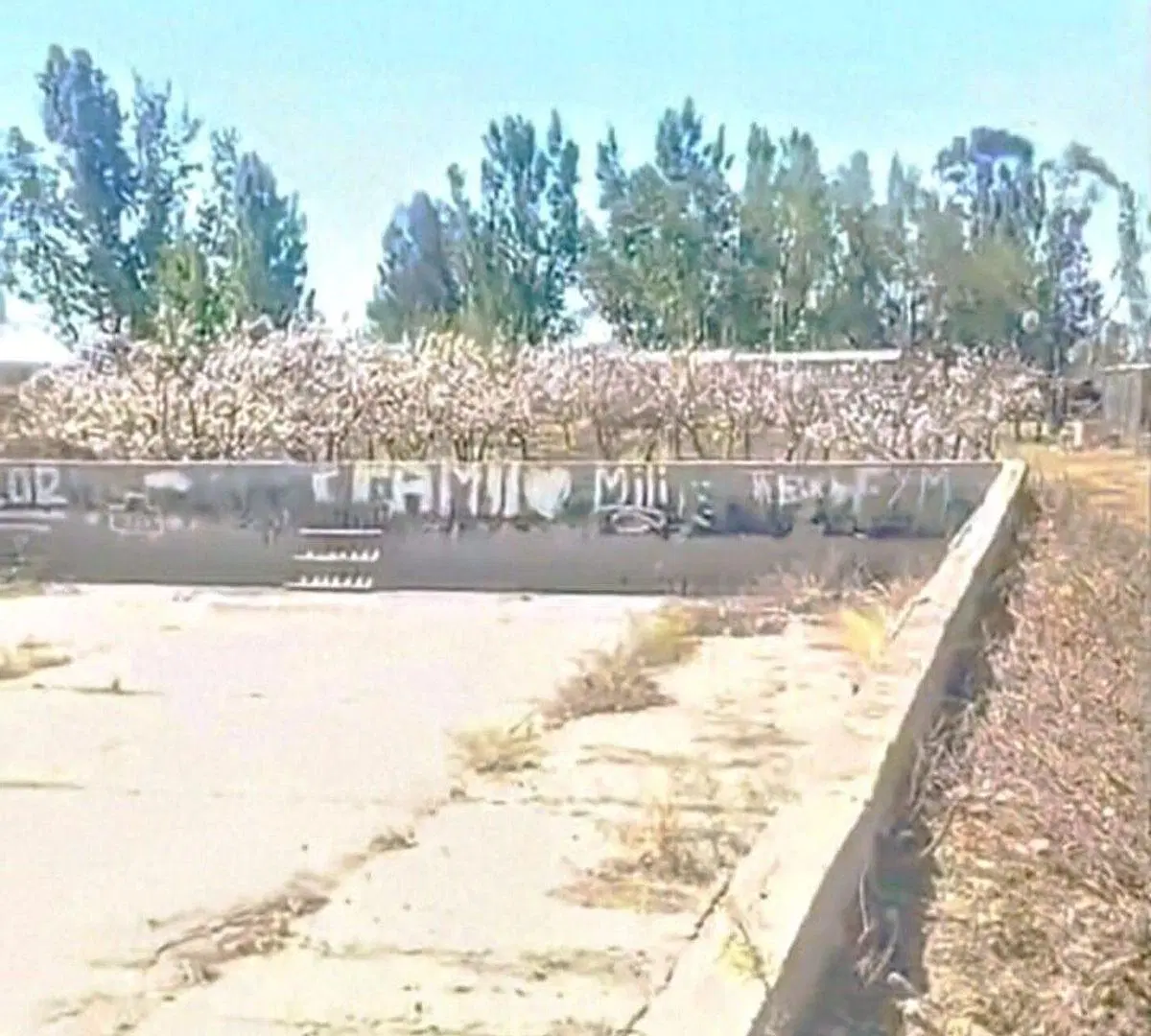 VENTA DE FINCA 8 HS EN LAS HERAS, MENDOZA 3