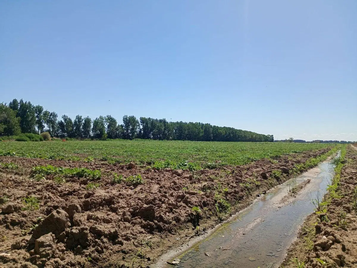 VENTA DE FINCA 8 HS EN LAS HERAS, MENDOZA 2