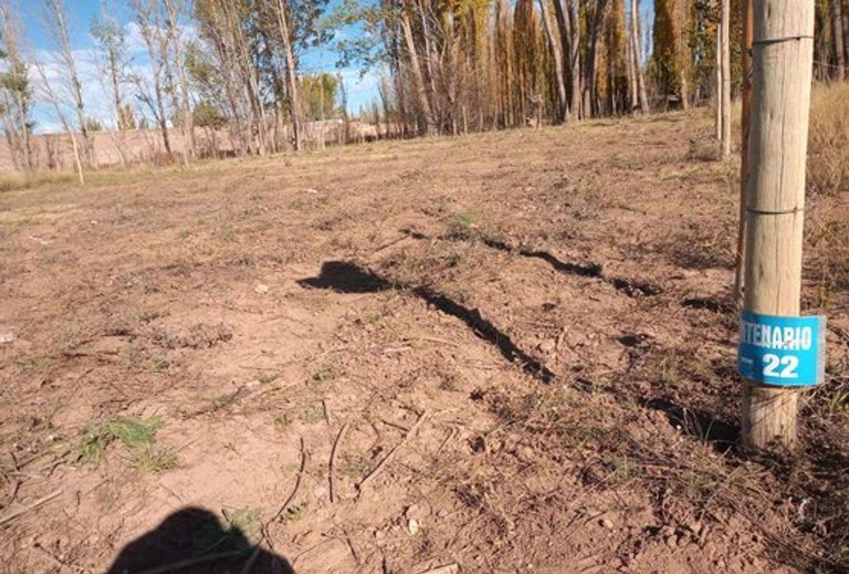 Foto de OPORTUNIDAD,TERRENO 730m EN EL CENTRO DE MALARGUE, imagen 2