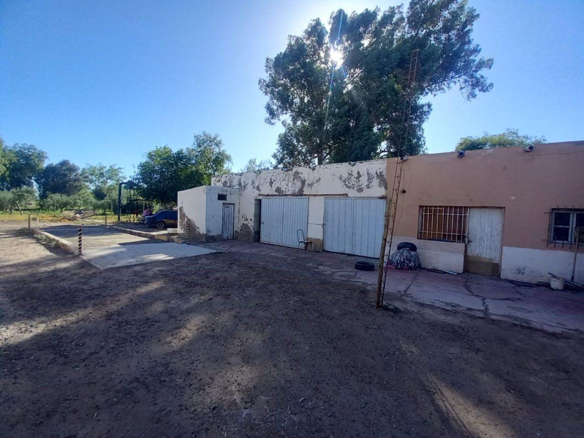 Foto de Bodega de 600 mil litros en San Martín, imagen 2