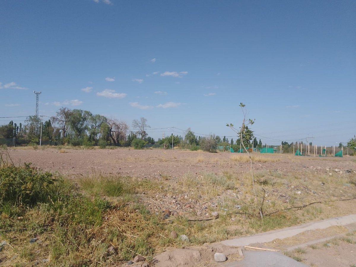 Foto de VENTA DE LOTE EN BARRIO PRIVADO MAIPU MENDOZA, imagen 4