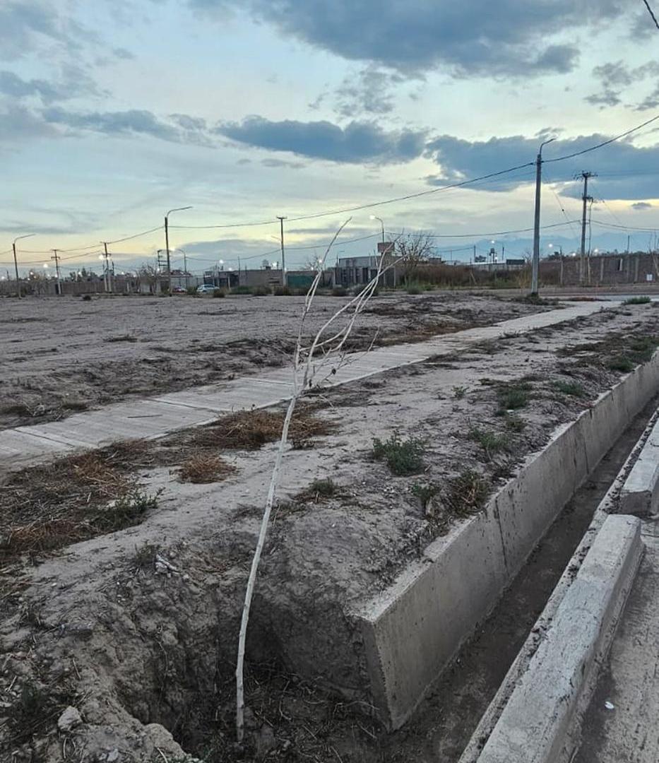 Foto de LOTE NATANIA 44 BARRIO AMISTAD TODOS LOS SERVICIOS, imagen 2