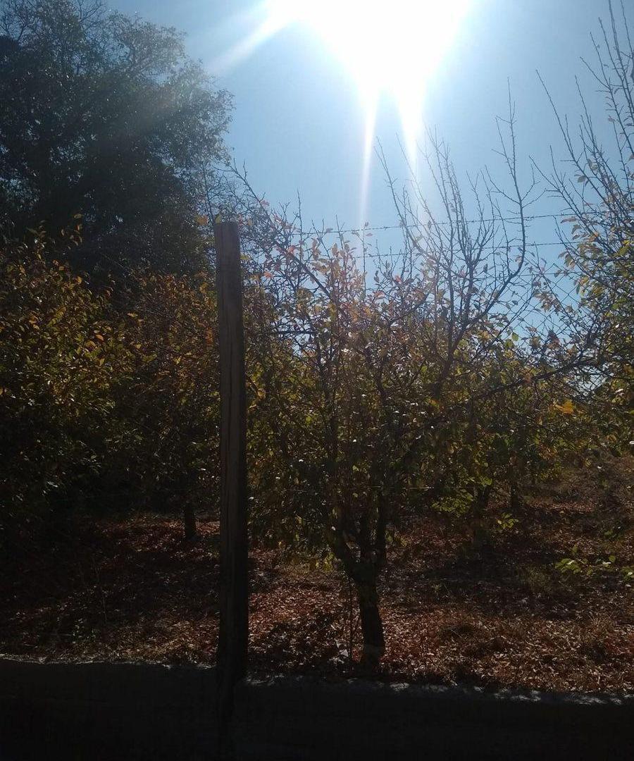 Foto de TERRENO,IDEAL INVERSIÓN, CARRIL NORTE SAN MARTíN, imagen 5