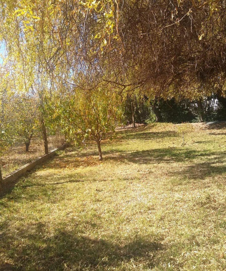 Foto de FINCA DE FRUTALES, CARRIL NORTE SAN MARTÍN, imagen 1
