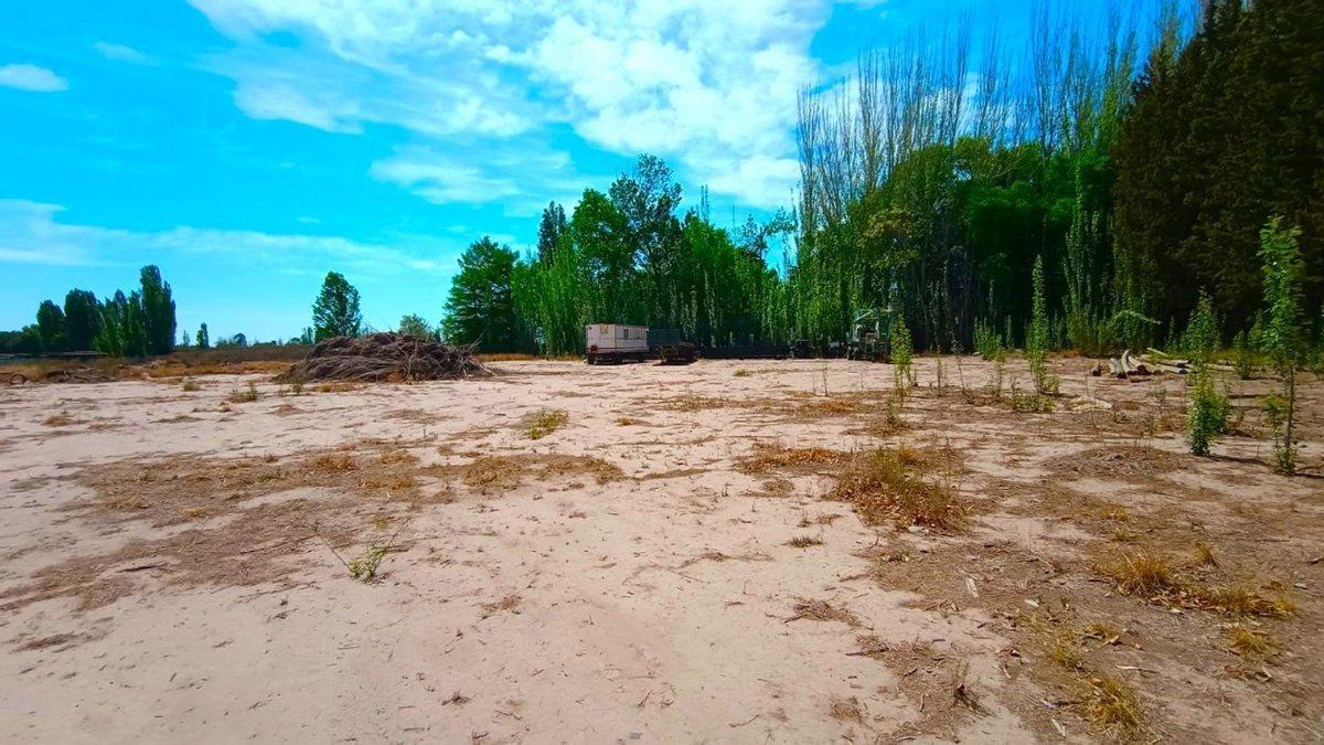 Foto de REMAX VENDE INMEJORABLE TERRENO EN LUJAN DE CUYO, imagen 5