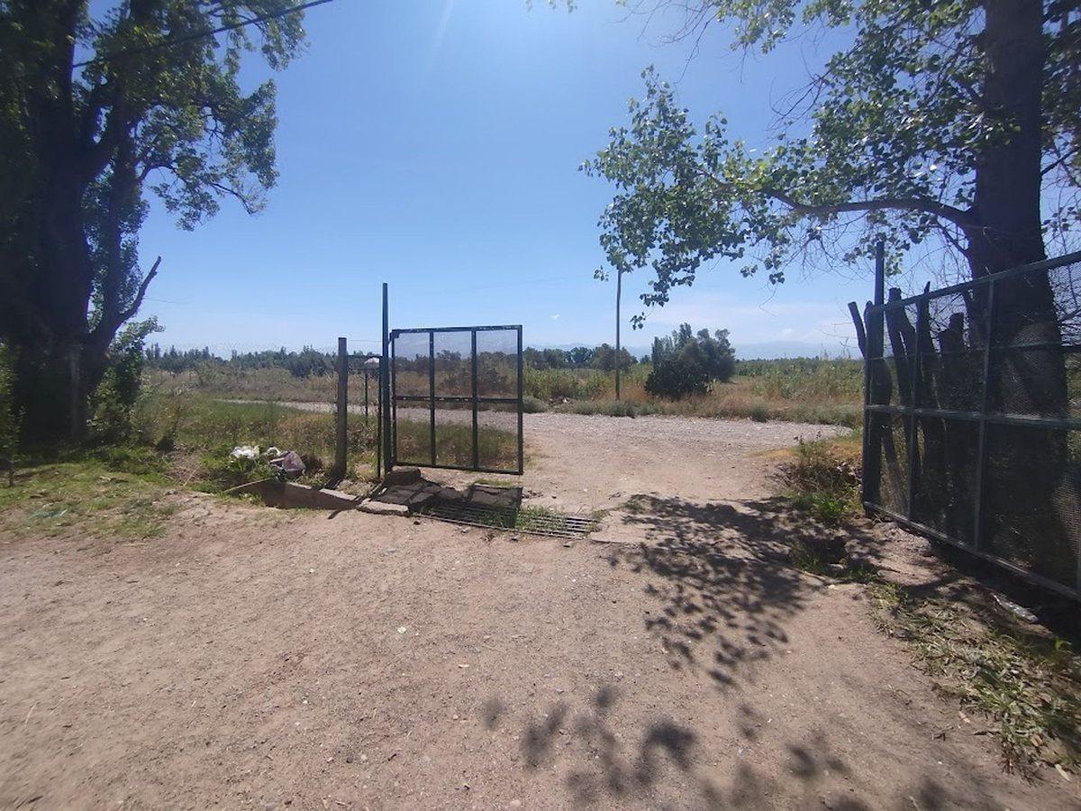 Foto de Venta Finca Vitícola en Chachingo 13 has, imagen 2