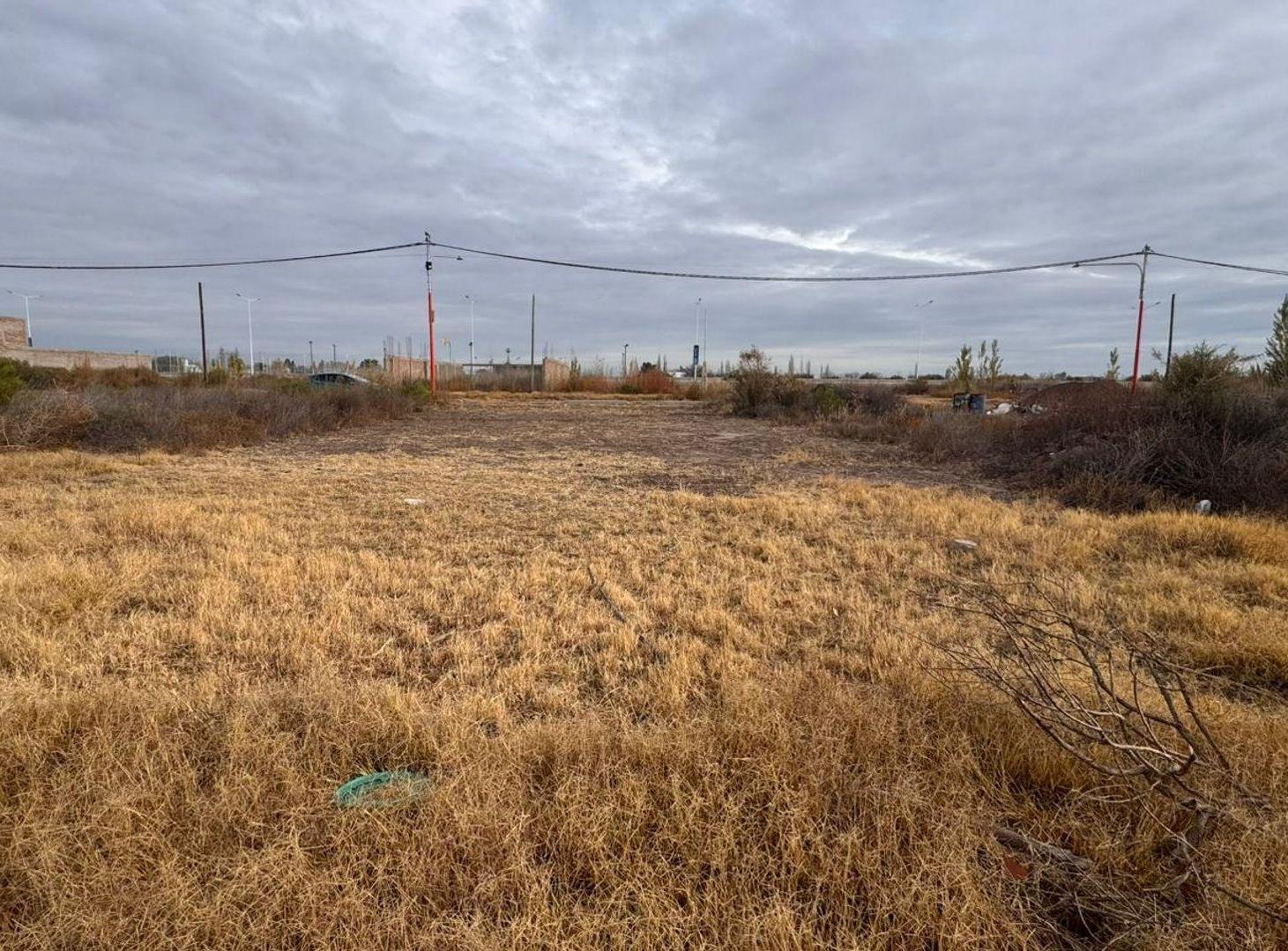 Foto de VENTA DE LOTE COMPLEJO LOS GRINGOS, imagen 4